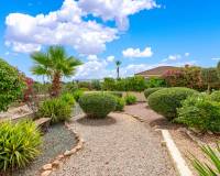 Revente - villa - Catral