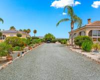 Revente - villa - Catral