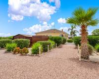 Revente - villa - Catral