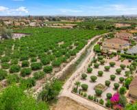 Revente - villa - Catral