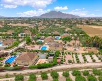 Revente - villa - Catral