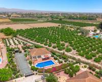 Revente - villa - Catral