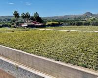 Revente - villa - Guardamar del Segura