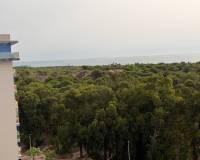Venta - Apartamento - Guardamar del Segura