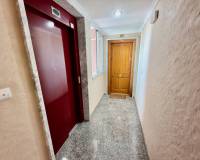 Venta - Apartamento - Guardamar del Segura