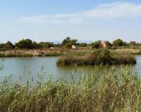Venta - Apartamento - Guardamar del Segura