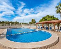 Venta - Detached Villa - Algorfa - Lo Crispin