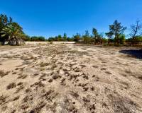 Venta - Finca / Country Property - Los Montesinos