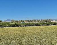 Venta - villa - Guardamar del Segura