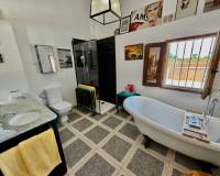 Wiederverkauf - Finca / Country Property - Dolores - Comunidad Valenciana