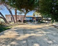 Wiederverkauf - Finca / Country Property - Guardamar del Segura