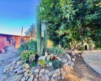 Wiederverkauf - Finca / Country Property - Guardamar del Segura