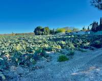 Wiederverkauf - Finca / Country Property - Guardamar del Segura