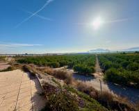 Wiederverkauf - Finca / Country Property - La Murada