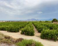 Wiederverkauf - Finca / Country Property - La Murada