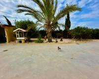 Wiederverkauf - Finca / Country Property - San Fulgencio - La Marina