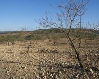 Wiederverkauf - Plot - Murcia