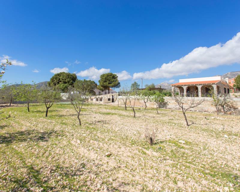 Nieuwbouw - Finca / Country Property - Hondón de las Nieves