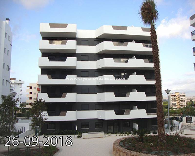 Nieuwbouw - Appartement - Elche Pedanías - El Altet