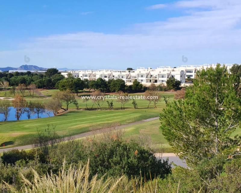 New Build - villa - Pilar de la Horadada - Lo Romero Golf