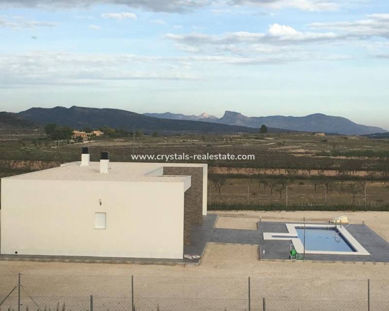 Nieuwbouw - villa - Pinoso - Camino Del Prado