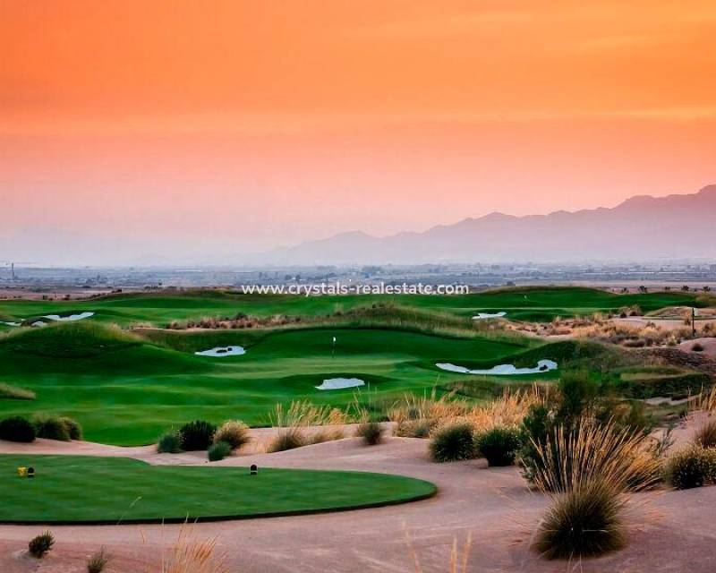 Nouvelle construction - villa - Alhama De Murcia - Condado De Alhama