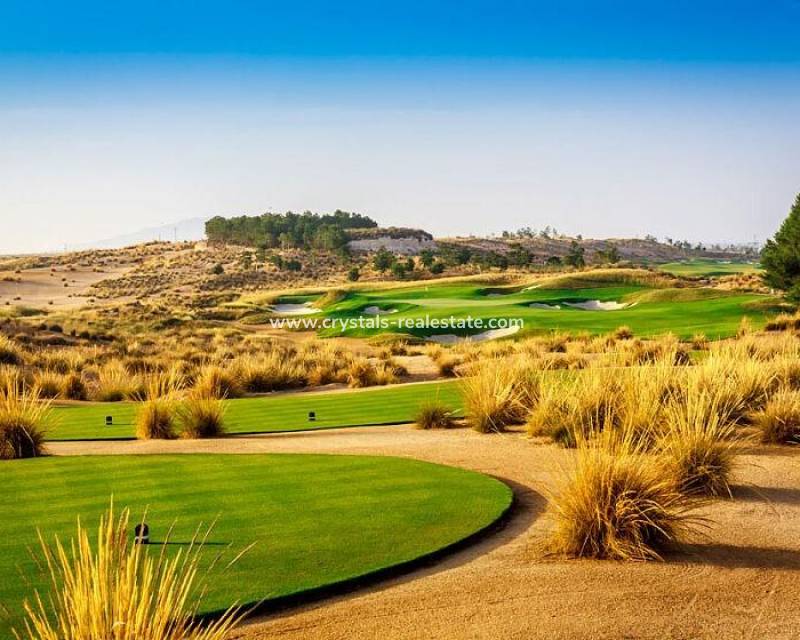 Nouvelle construction - villa - Alhama De Murcia - Condado De Alhama