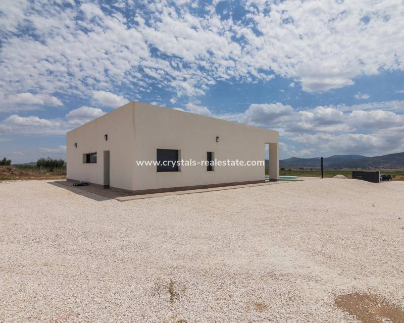 Nieuwbouw - villa - Pinoso - Campo