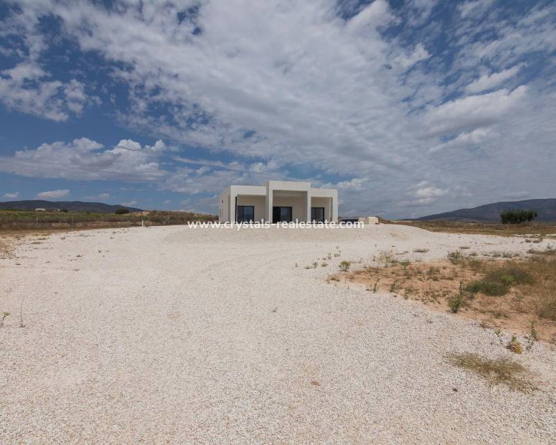 Nieuwbouw - villa - Pinoso - Campo