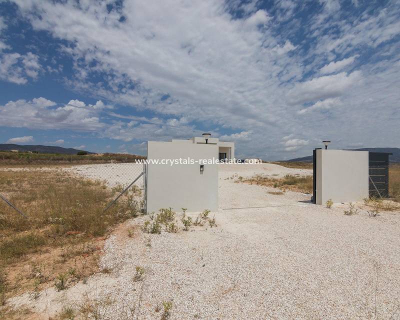 Nieuwbouw - villa - Pinoso - Campo