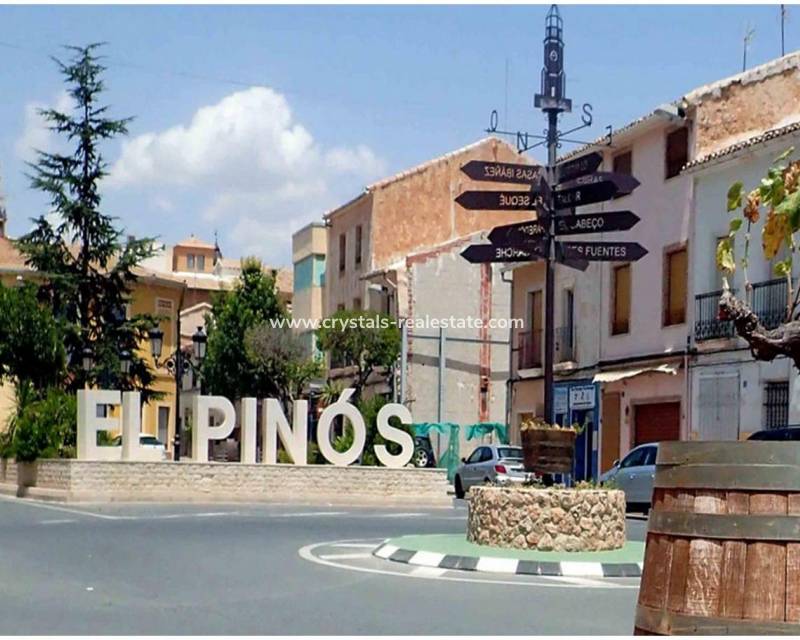 Neubau - villa - Pinoso - Campo