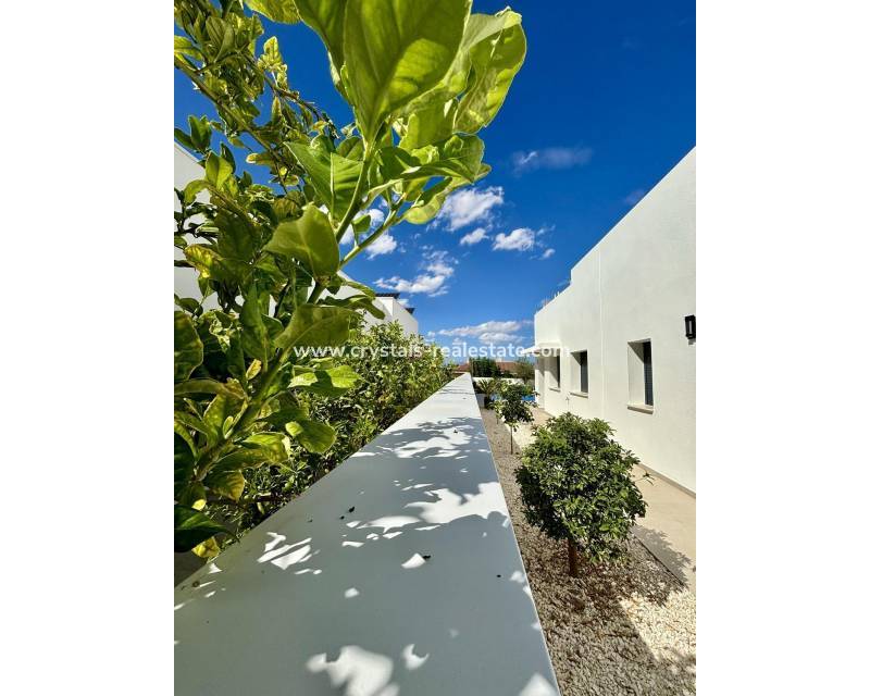 Nueva construcción  - villa - Benijofar