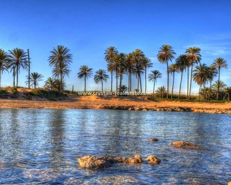 Nouvelle construction - Penthouse - Torrevieja - Playa del Cura