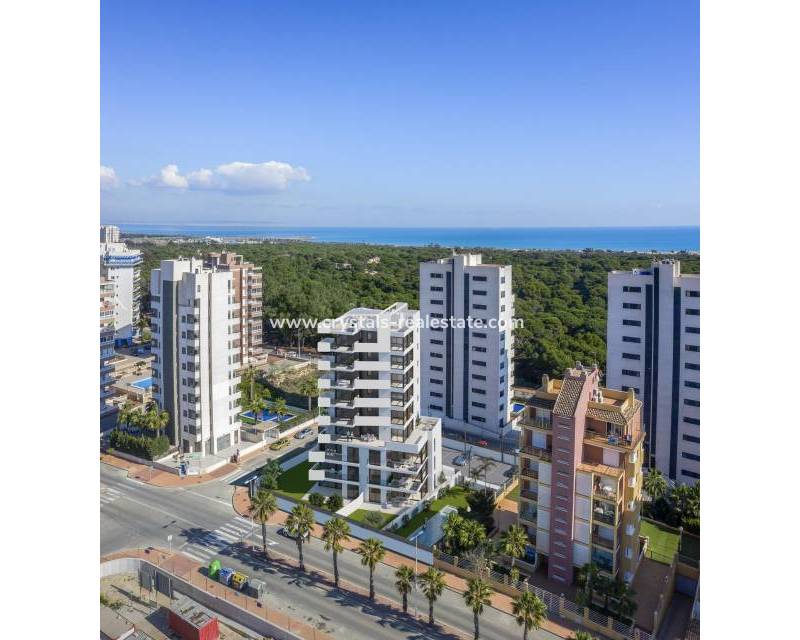 Nouvelle construction - Appartement - Guardamar del Segura - Puerto Deportivo