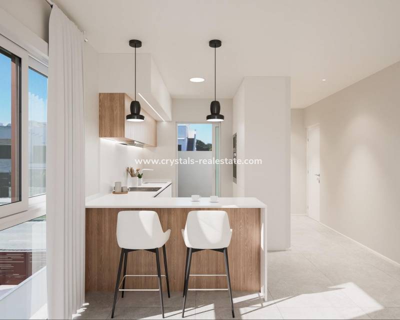 Nouvelle construction - Maison de ville - Pilar de la Horadada - El Mojón