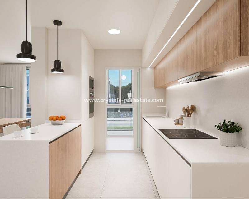 Nouvelle construction - Maison de ville - Pilar de la Horadada - El Mojón