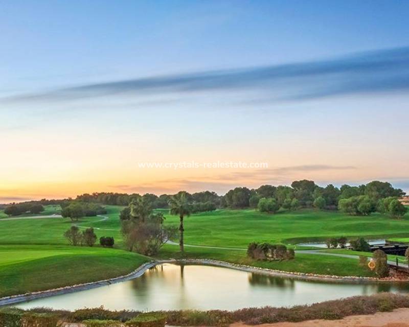 Nouvelle construction - villa - Pilar de la Horadada - Lo Romero Golf