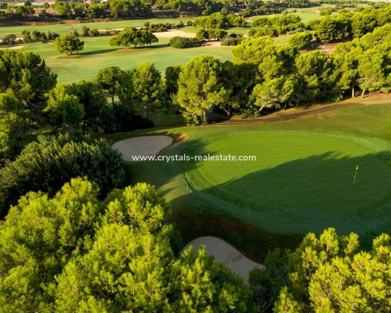 Nouvelle construction - villa - Pilar de la Horadada - Lo Romero Golf