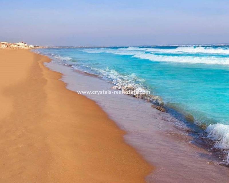 Nouvelle construction - villa - San Fulgencio - El Oasis