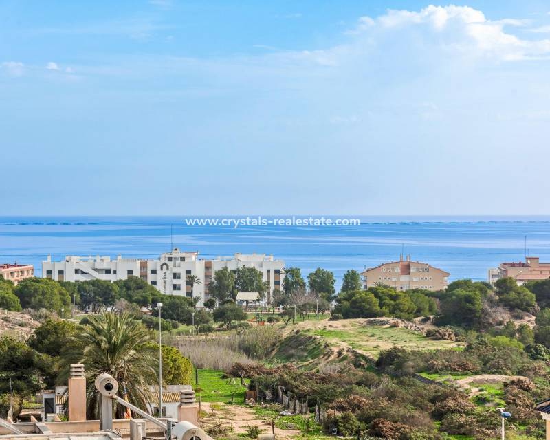 Nouvelle construction - villa - Guardamar del Segura - Els Secans