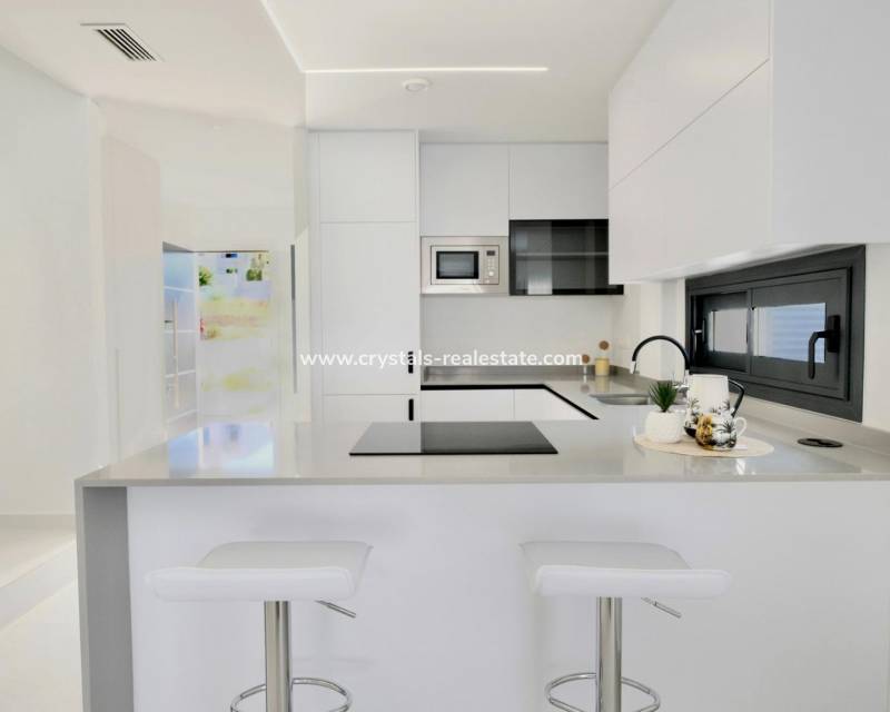 Nouvelle construction - villa - Guardamar del Segura - Els Secans