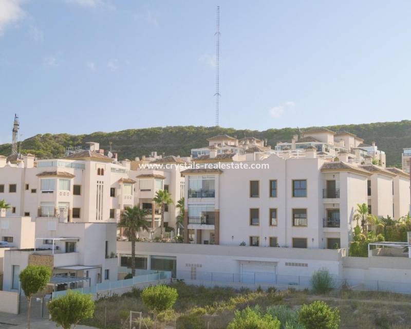 Nouvelle construction - villa - Guardamar del Segura - Els Secans