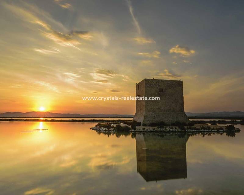 Neubau - Apartment - Santa Pola - Estacion de autobuses