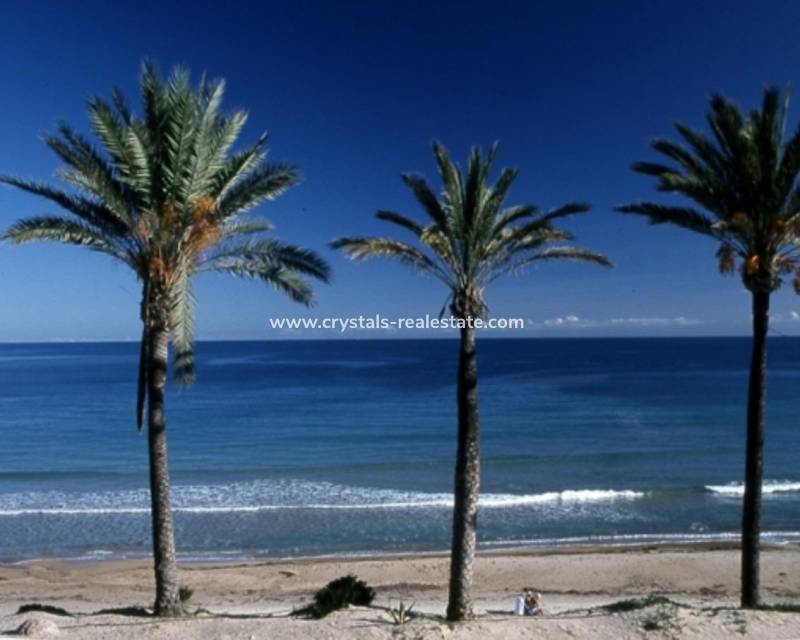 Nouvelle construction - Bungalow - Pilar de la Horadada - Parque Ramon eugenio Escudero