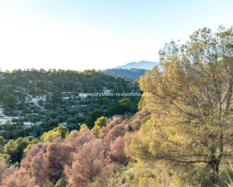 Nieuwbouw - Appartement - Finestrat - Balcón De Finestrat