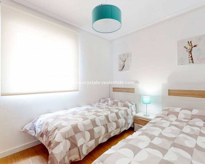 Neubau - villa - San Miguel de Salinas - Cerro del Sol