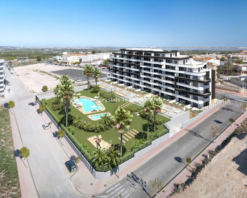 Neubau - Apartment - San Miguel de Salinas - Pueblo