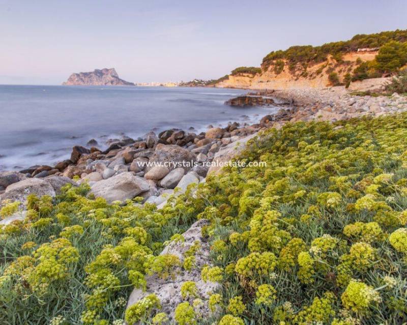 Nieuwbouw - villa - Benissa - Cala Advocat