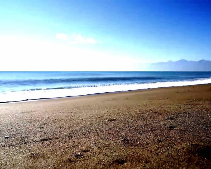 Nouvelle construction - Appartement - Torrevieja - Centro