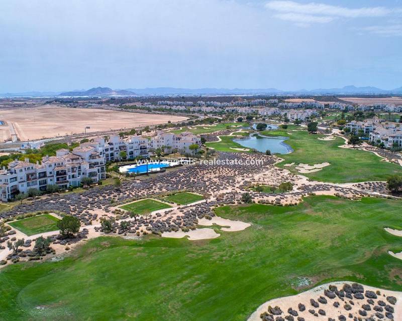 Nouvelle construction - villa - Sucina